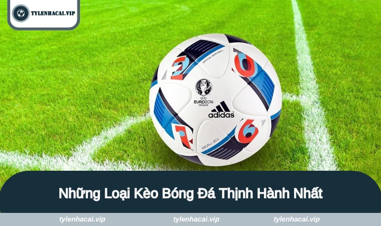 keo bong da 2 Kèo châu Âu được nhiều dân chơi lựa chọn trải nghiệm