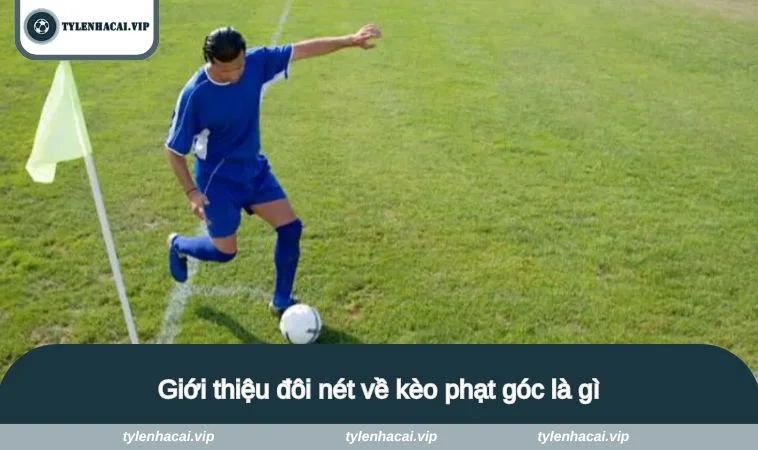 keo phat goc la gi 1 Giới thiệu đôi nét về kèo phạt góc là gì