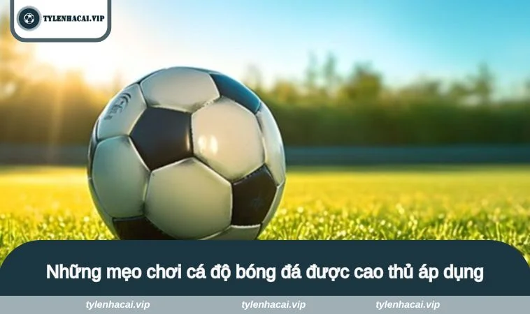 meo choi ca do bong da 1 Những mẹo chơi cá độ bóng đá được cao thủ áp dụng