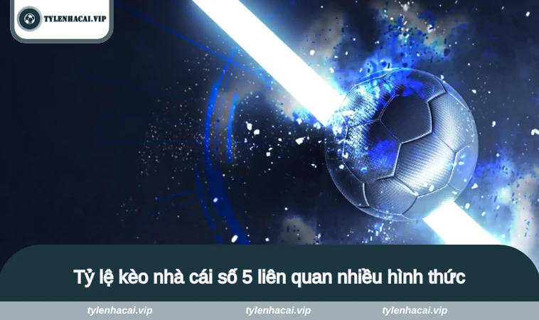 ty le keo nha cai so 5 2 Tỷ lệ kèo nhà cái số 5 liên quan nhiều hình thức